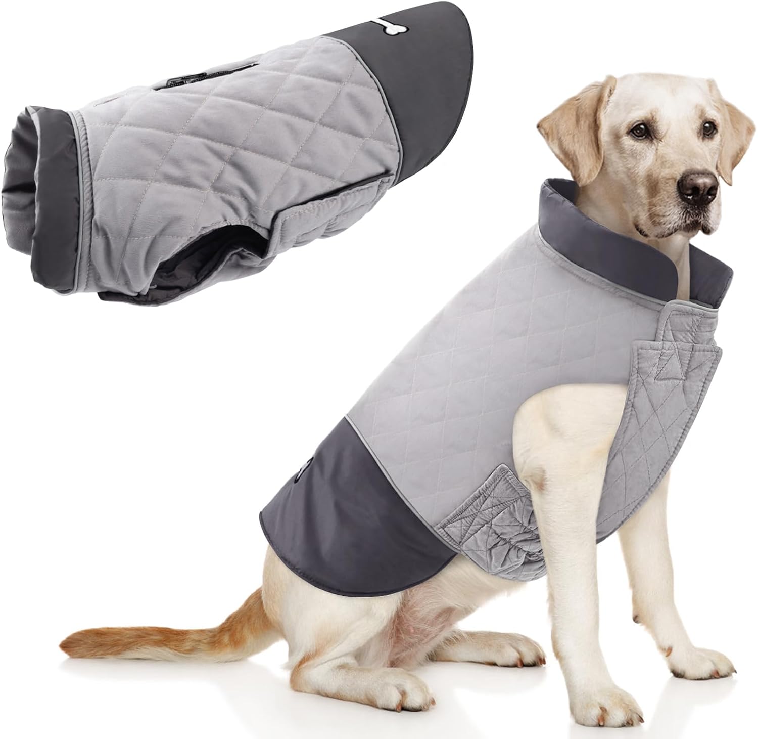 dog jackets with legs