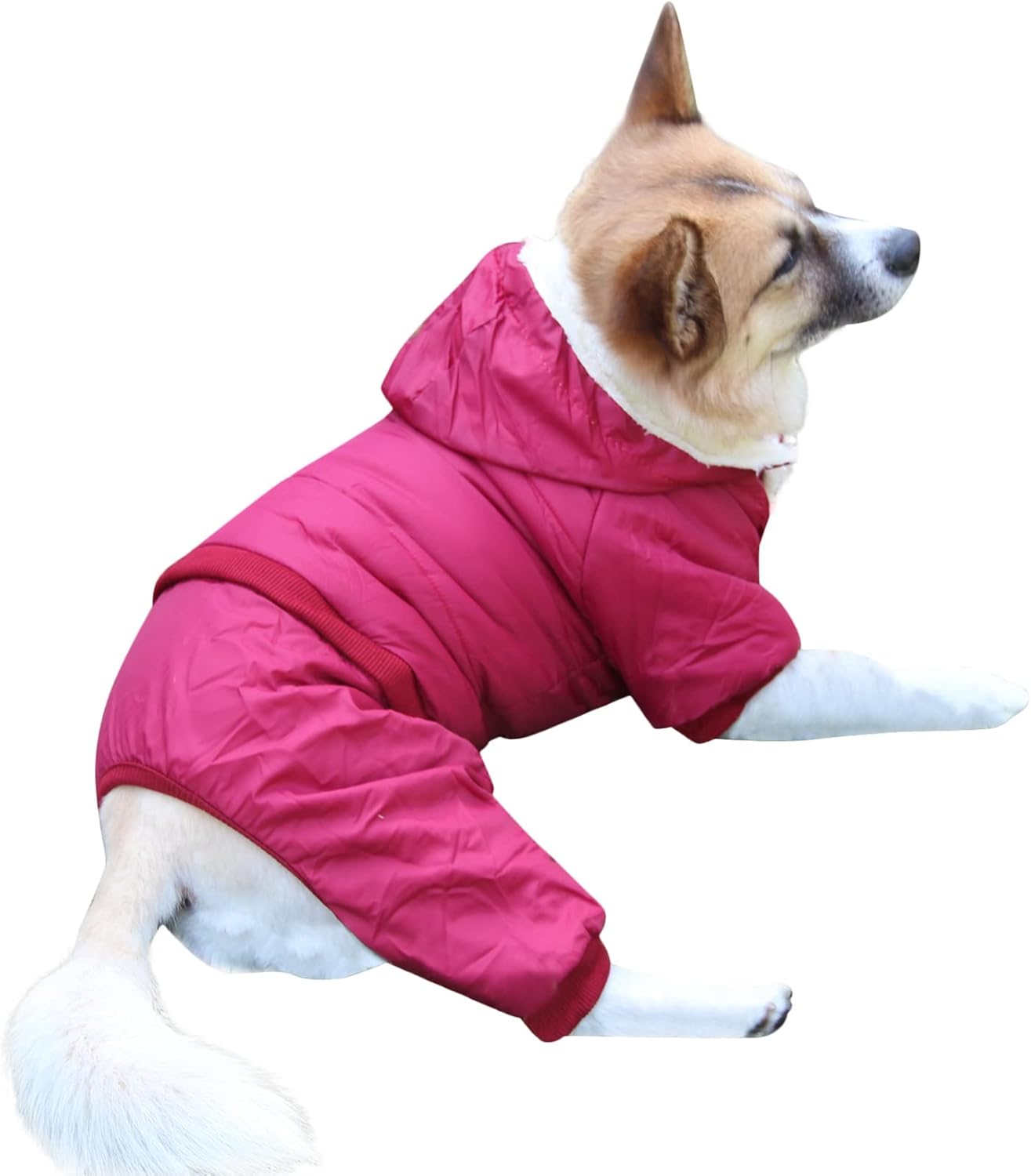 dog jackets with legs