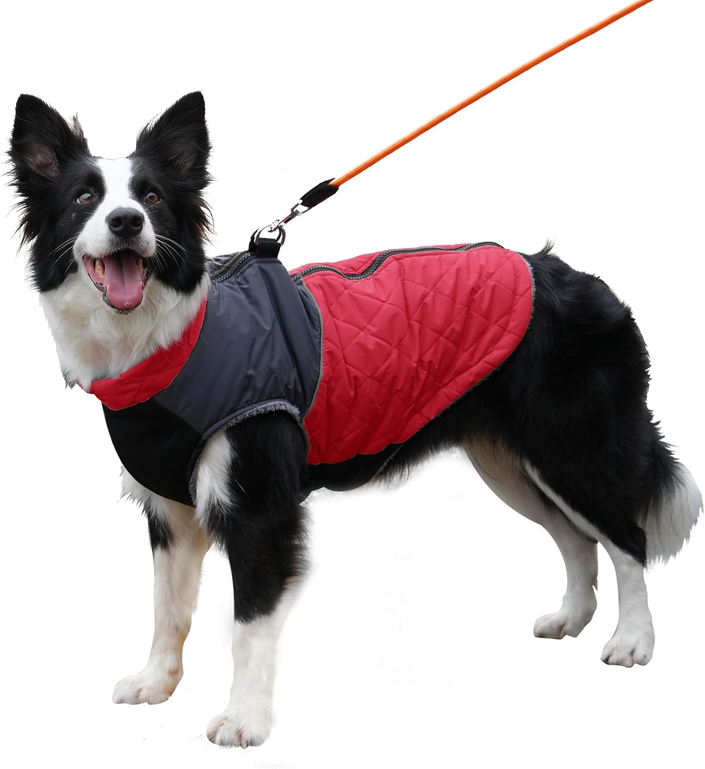 dog jackets for large dogs