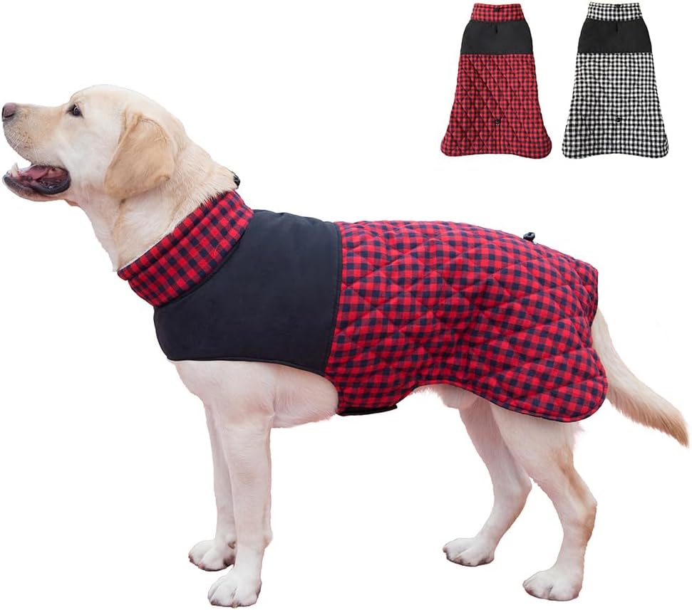 dog jackets for large dogs