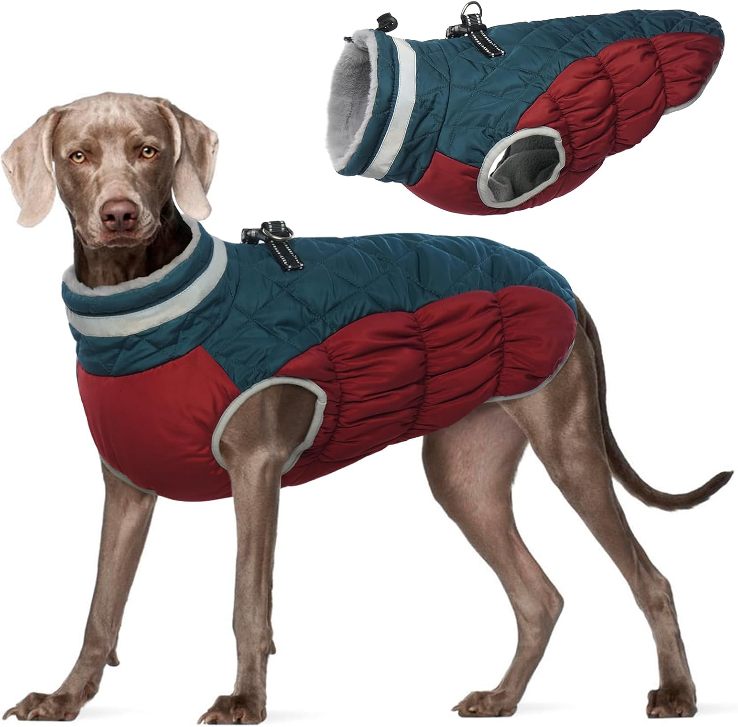 dog jackets for large dogs