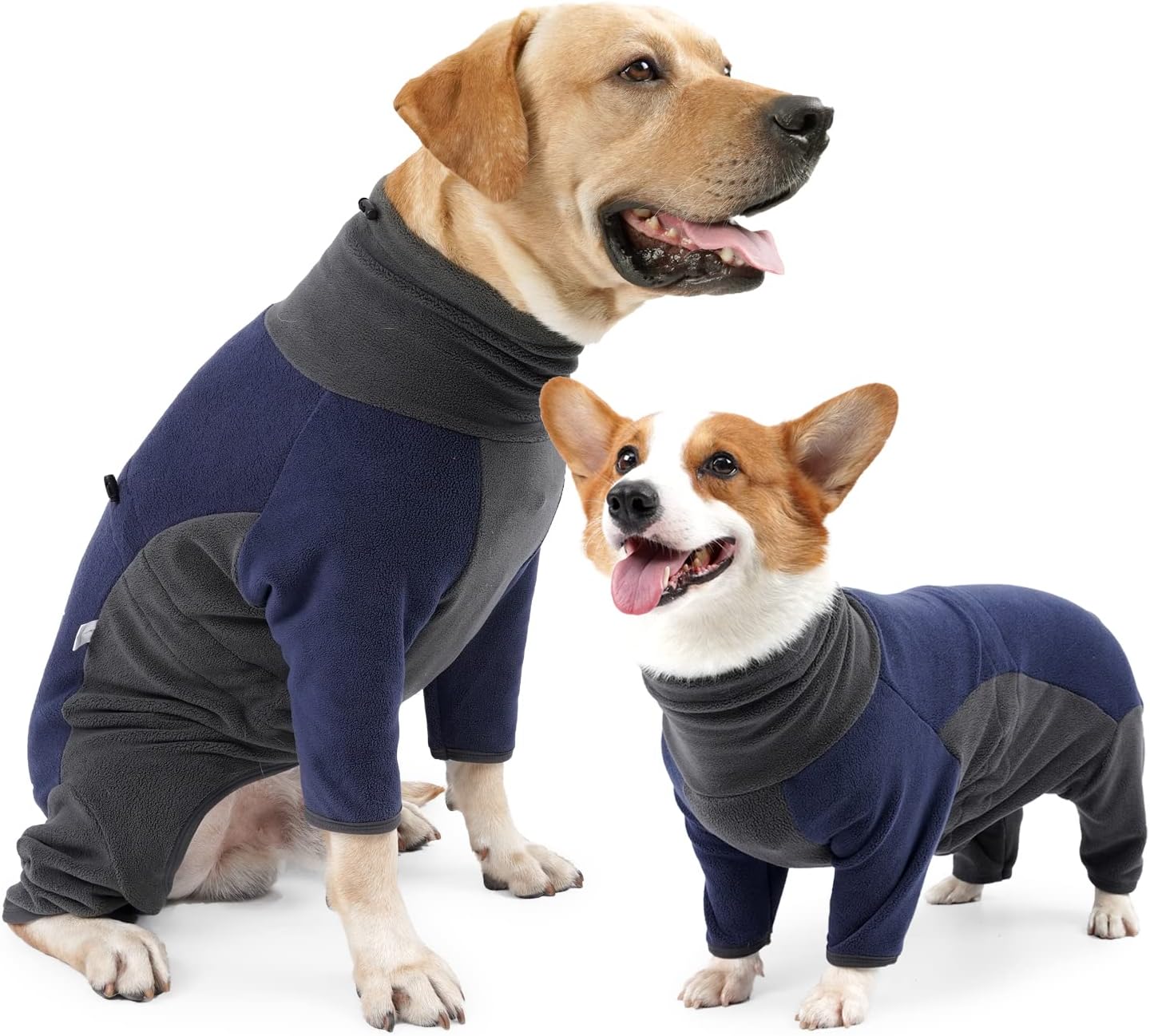 dog jackets with legs