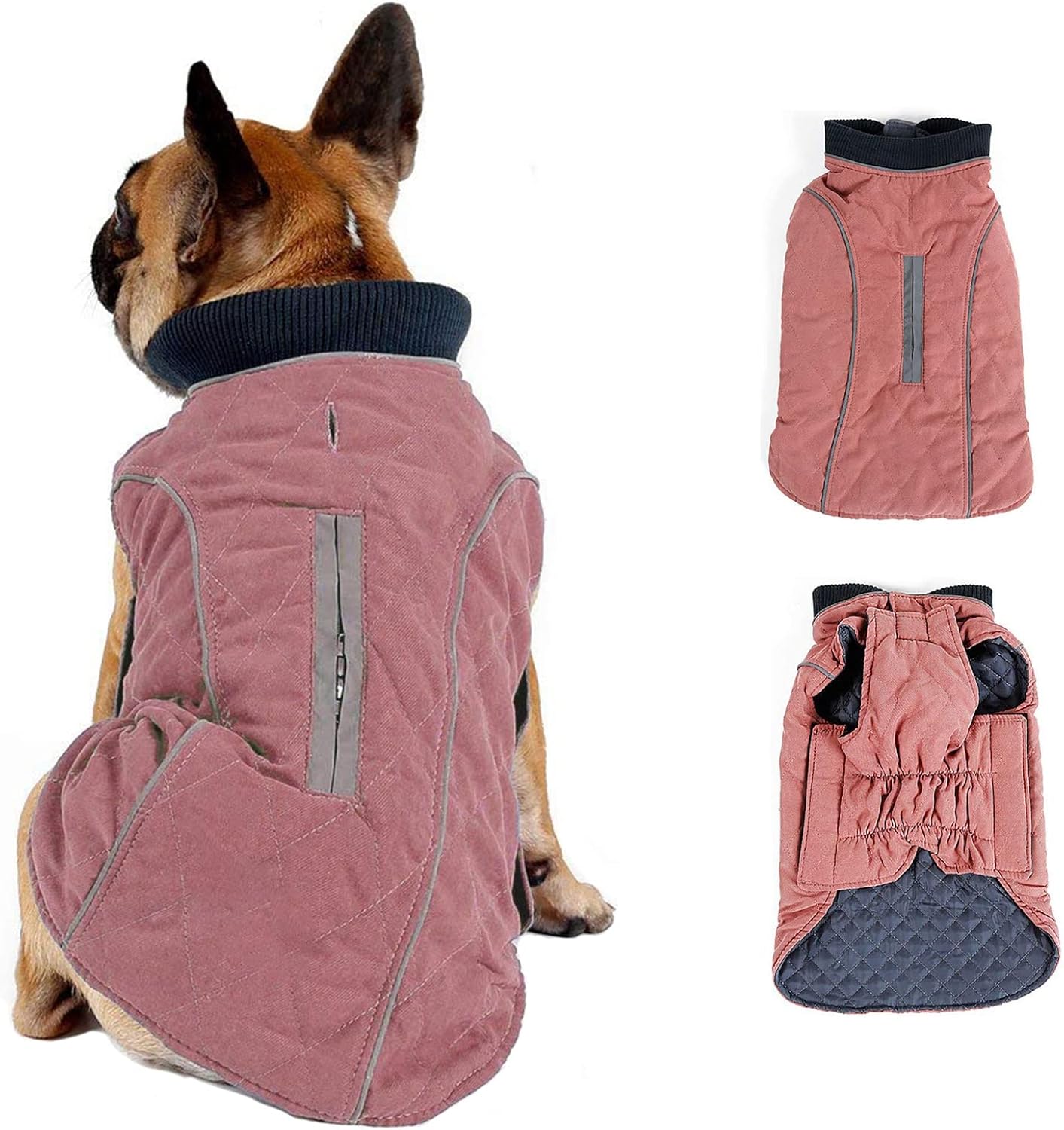 dog jackets for large dogs