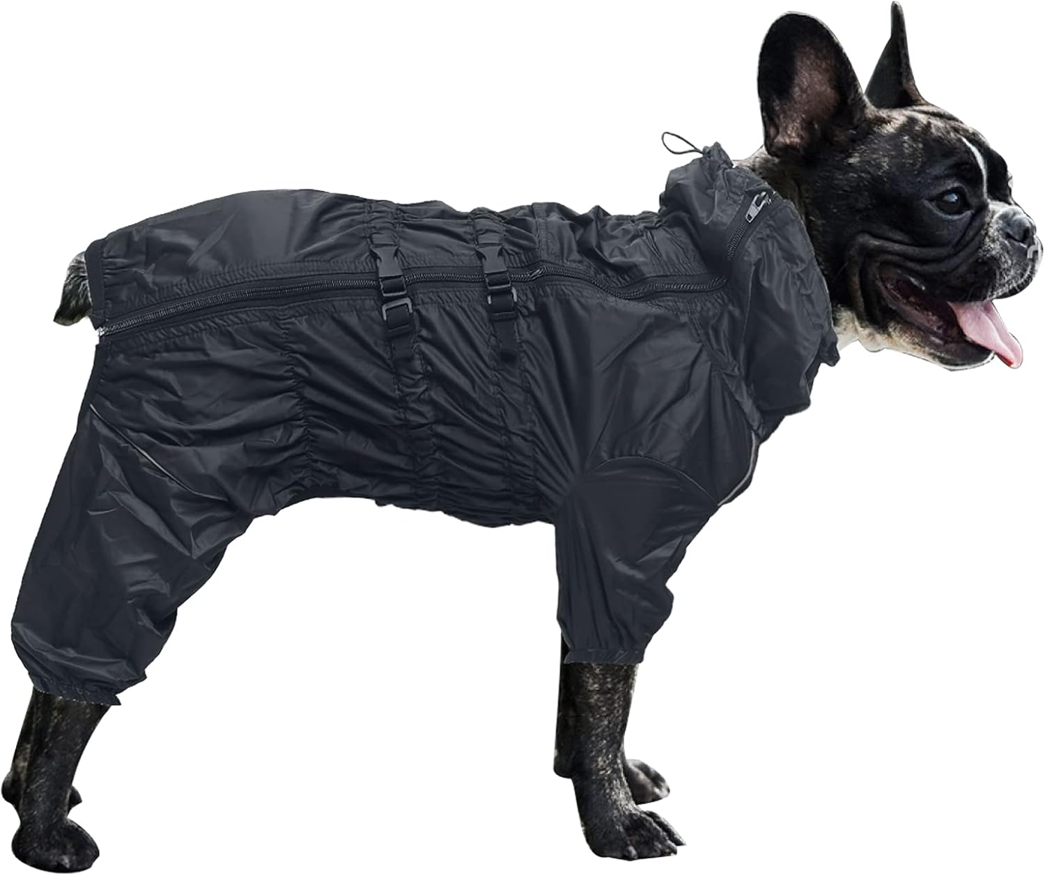 dog jackets with legs