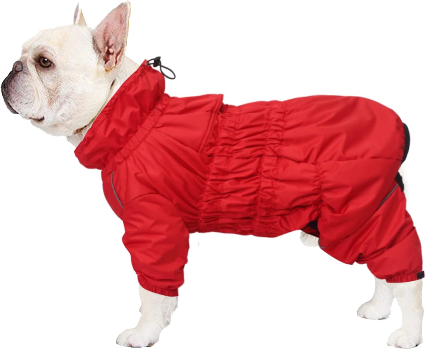 dog jackets with legs