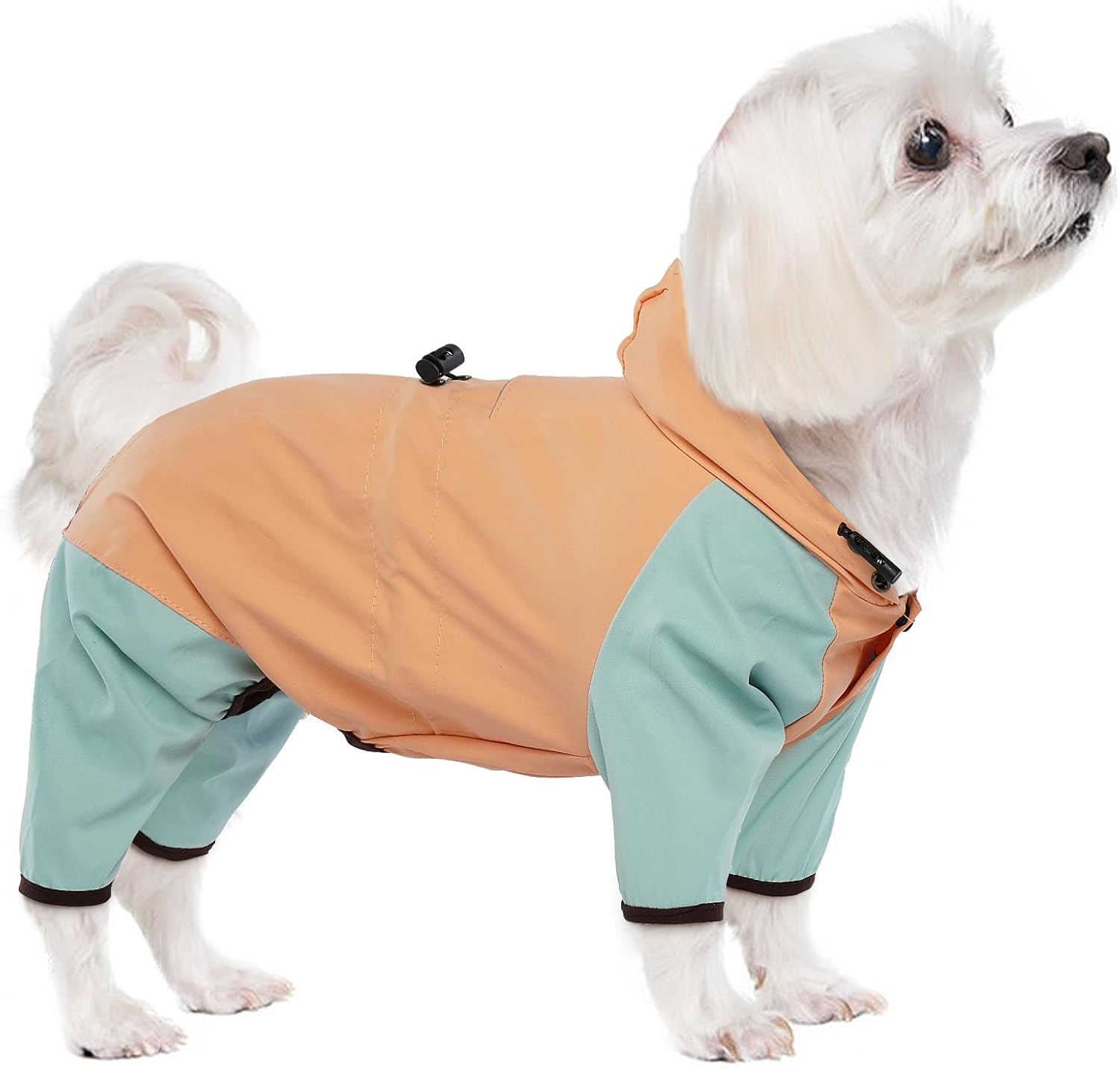 dog jackets with legs