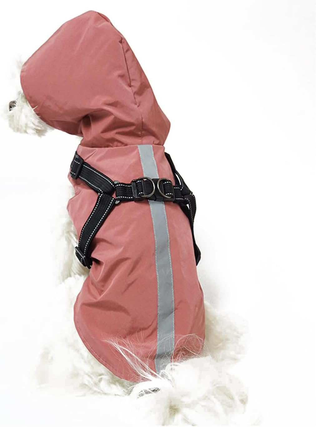 dog jackets for large dogs