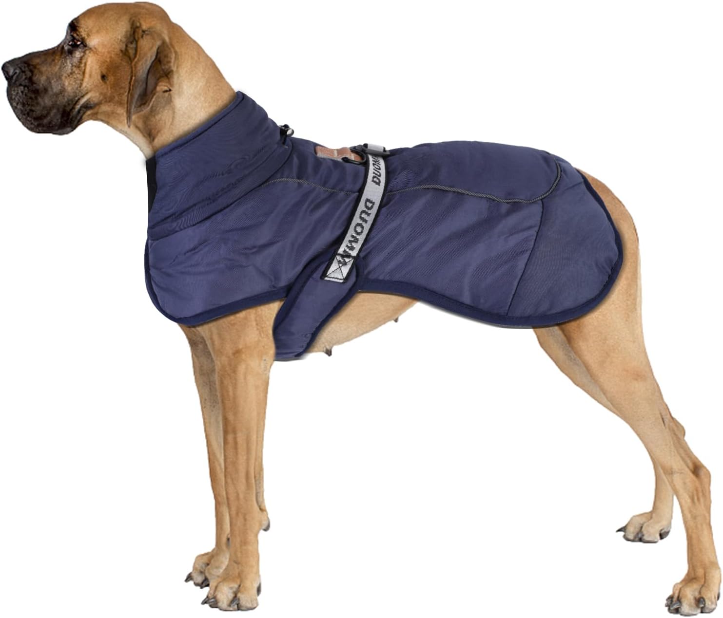 dog jackets for large dogs