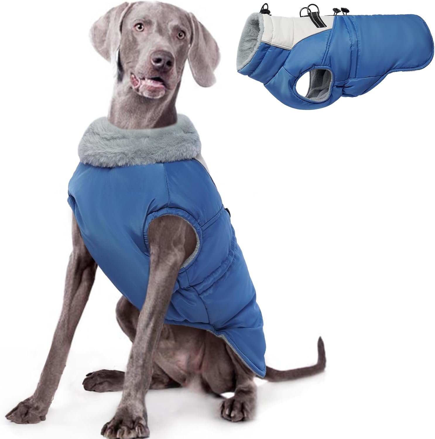 dog jackets for large dogs