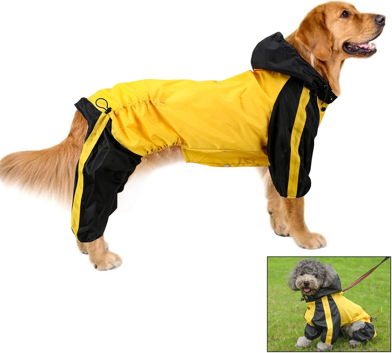 dog jackets for large dogs