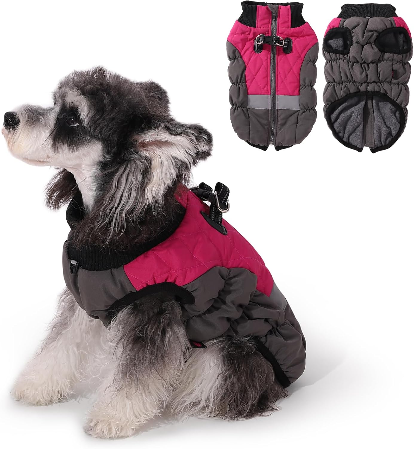 dog jackets for large dogs