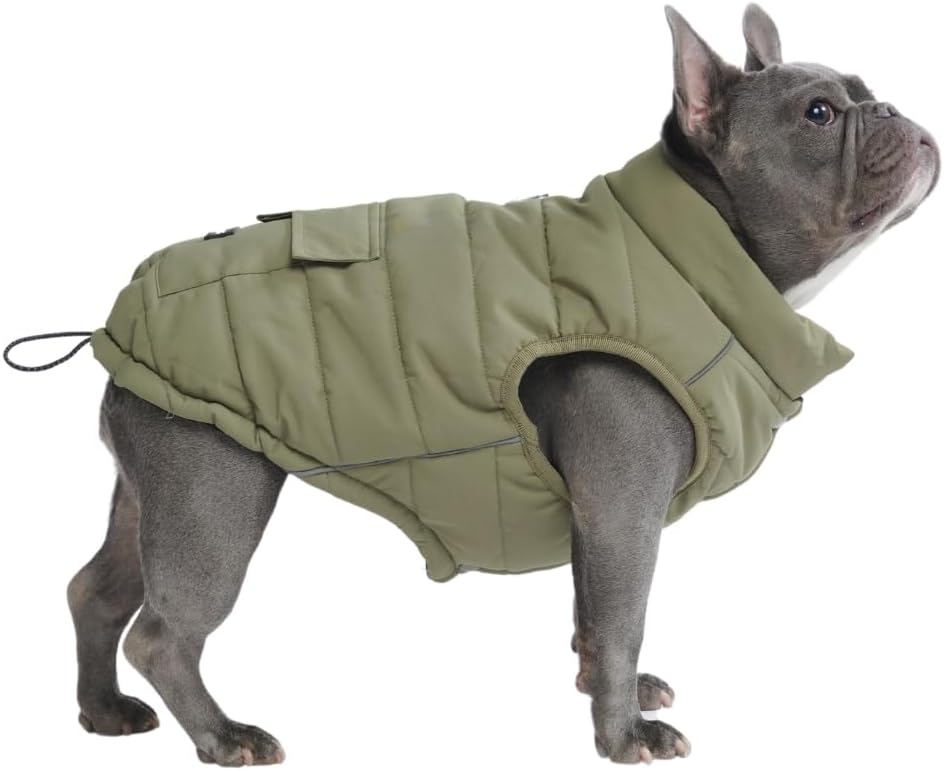 dog jackets with legs