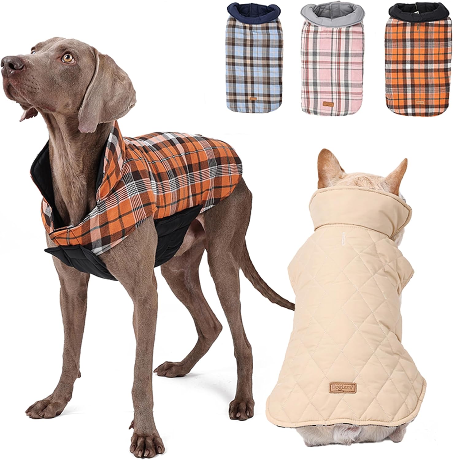 dog jackets for large dogs