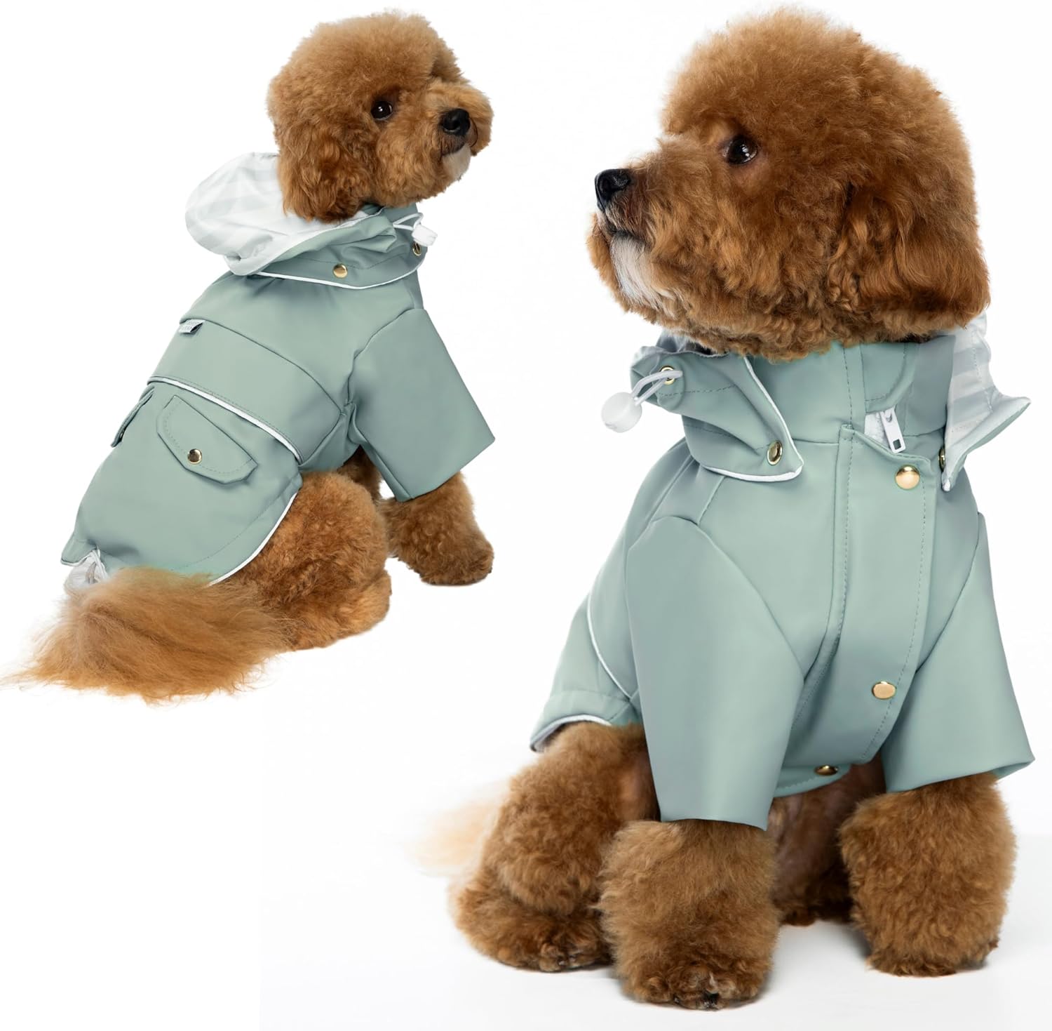 dog jackets for large dogs