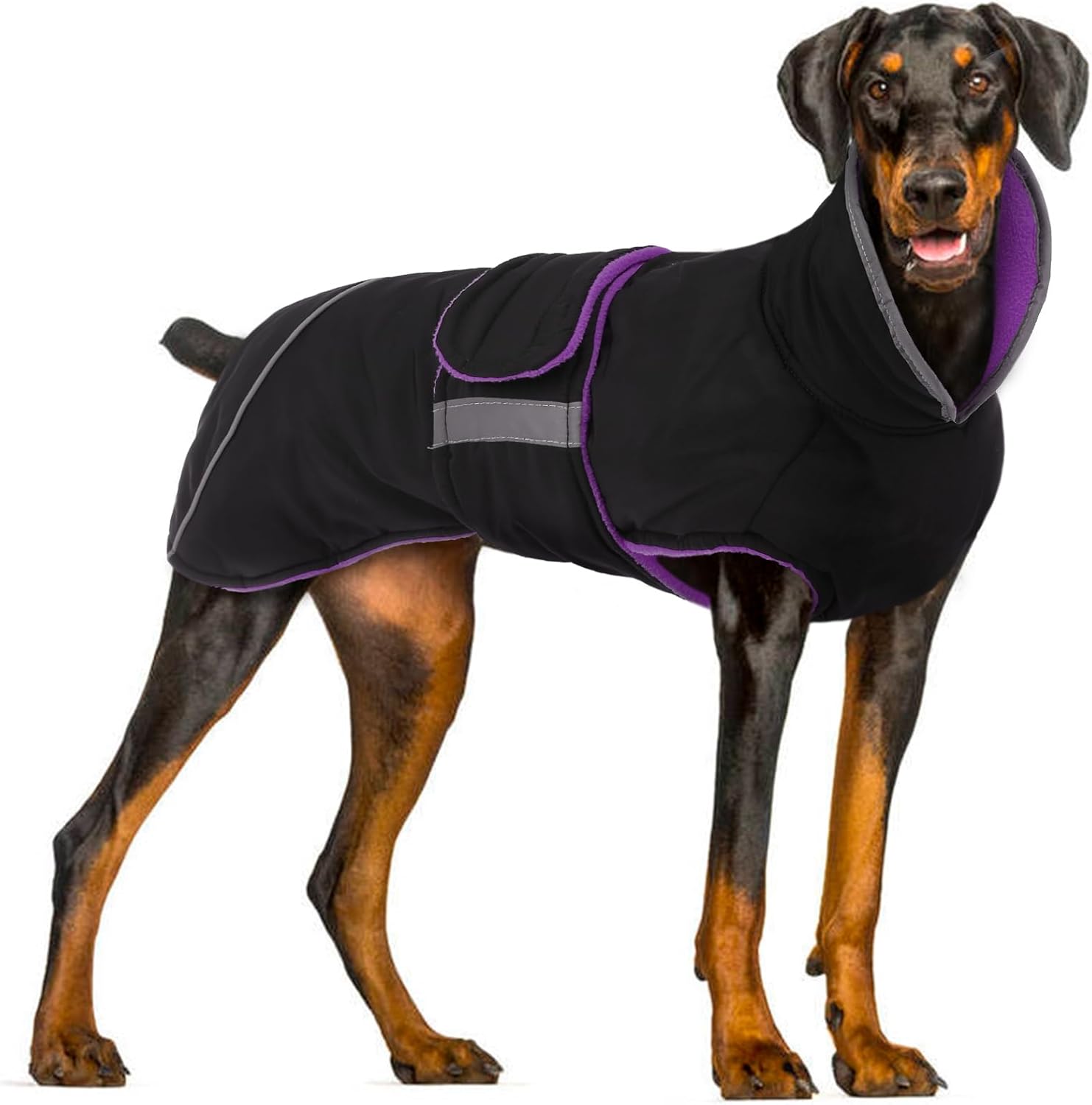 dog jackets for large dogs