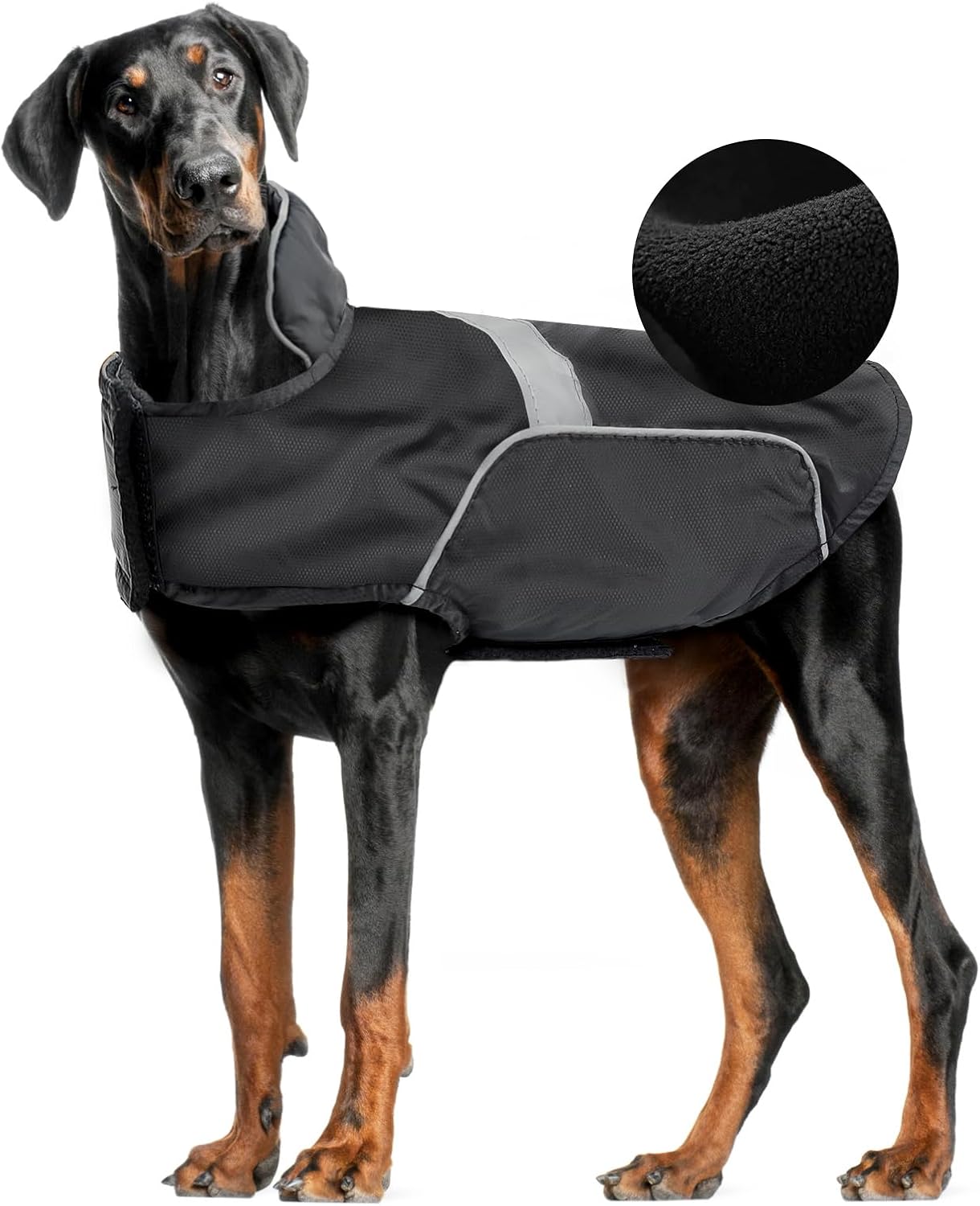 dog jackets for large dogs