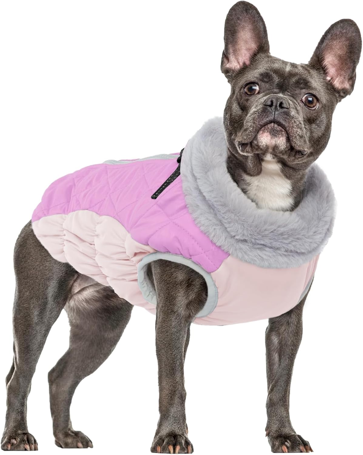 dog jackets with legs