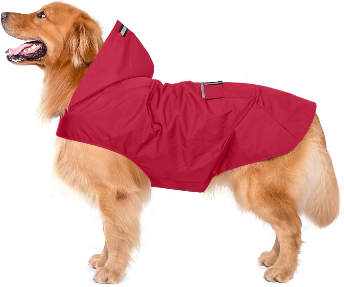 dog jackets with legs