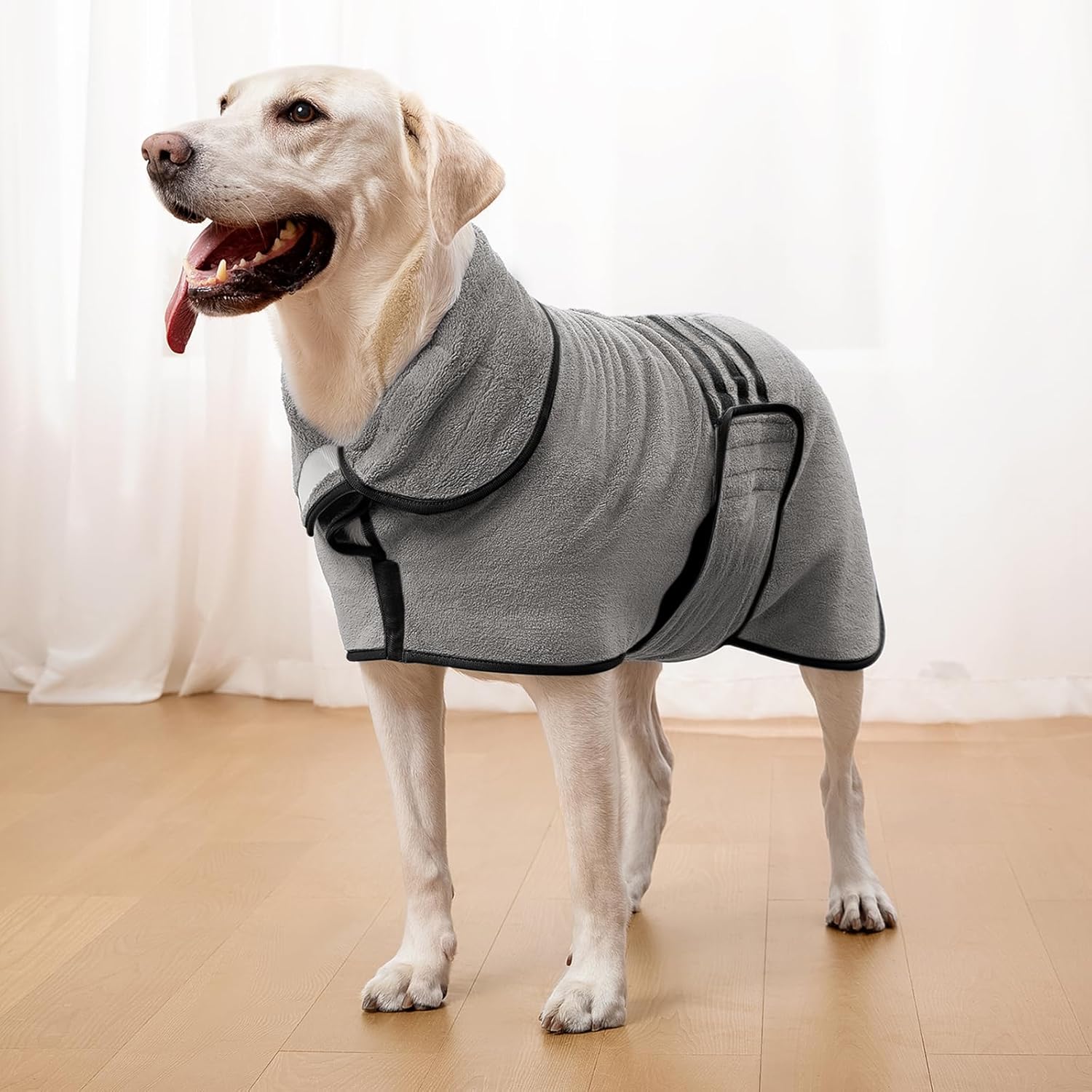 dog jackets with legs