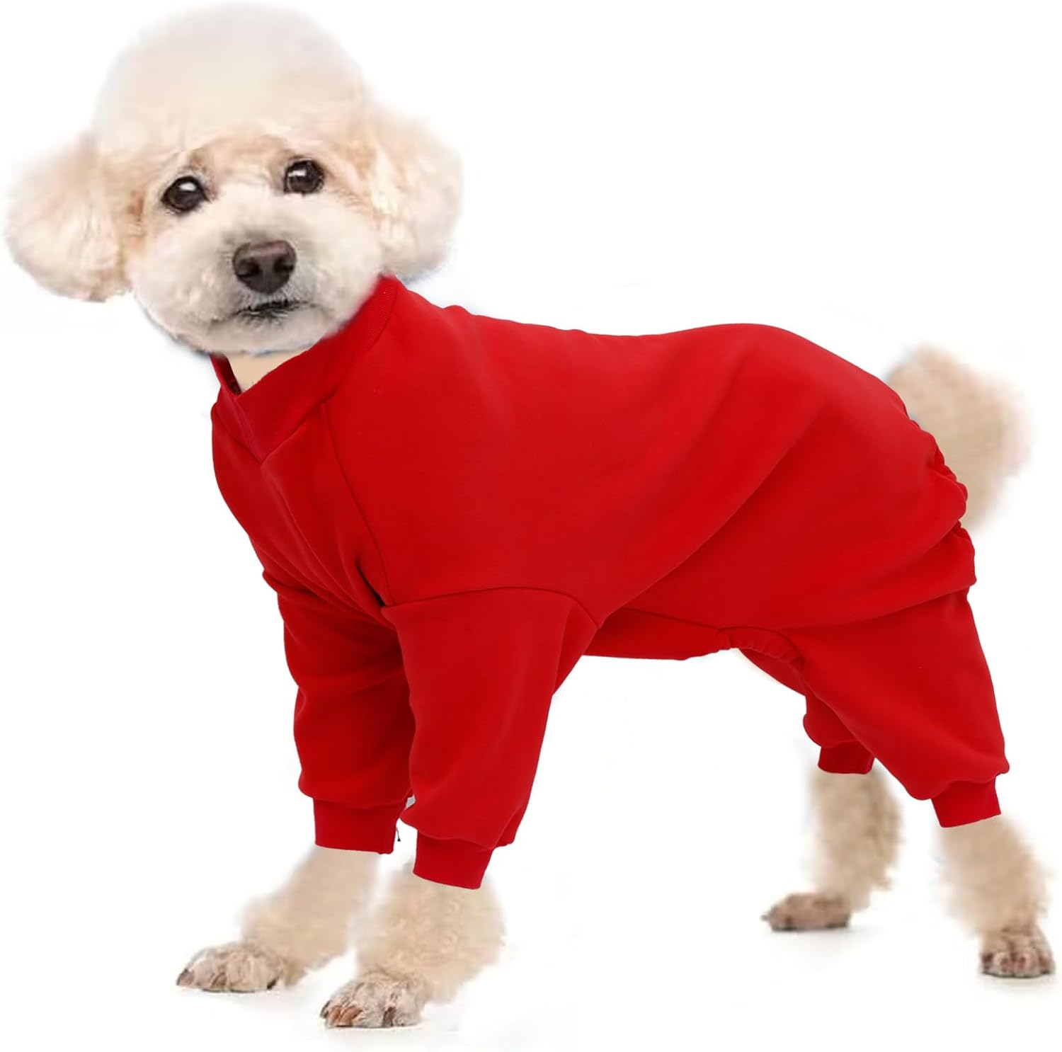 dog jackets with legs