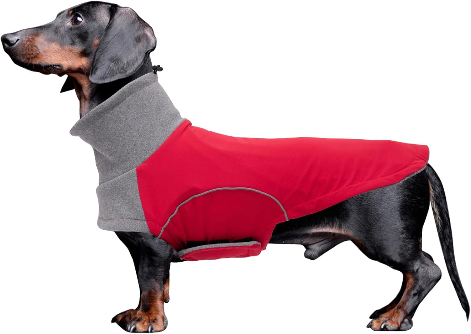 dog jackets with legs