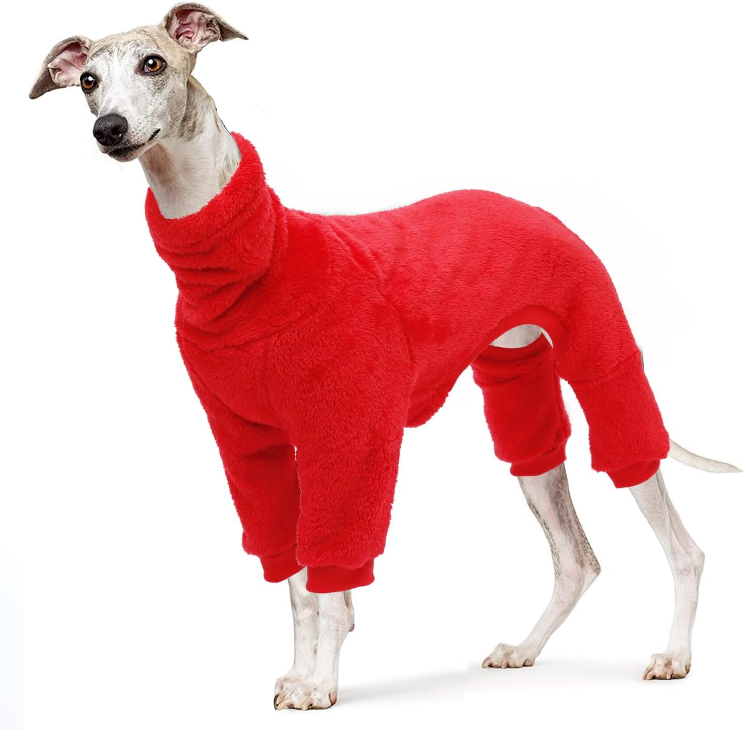 dog jackets for large dogs