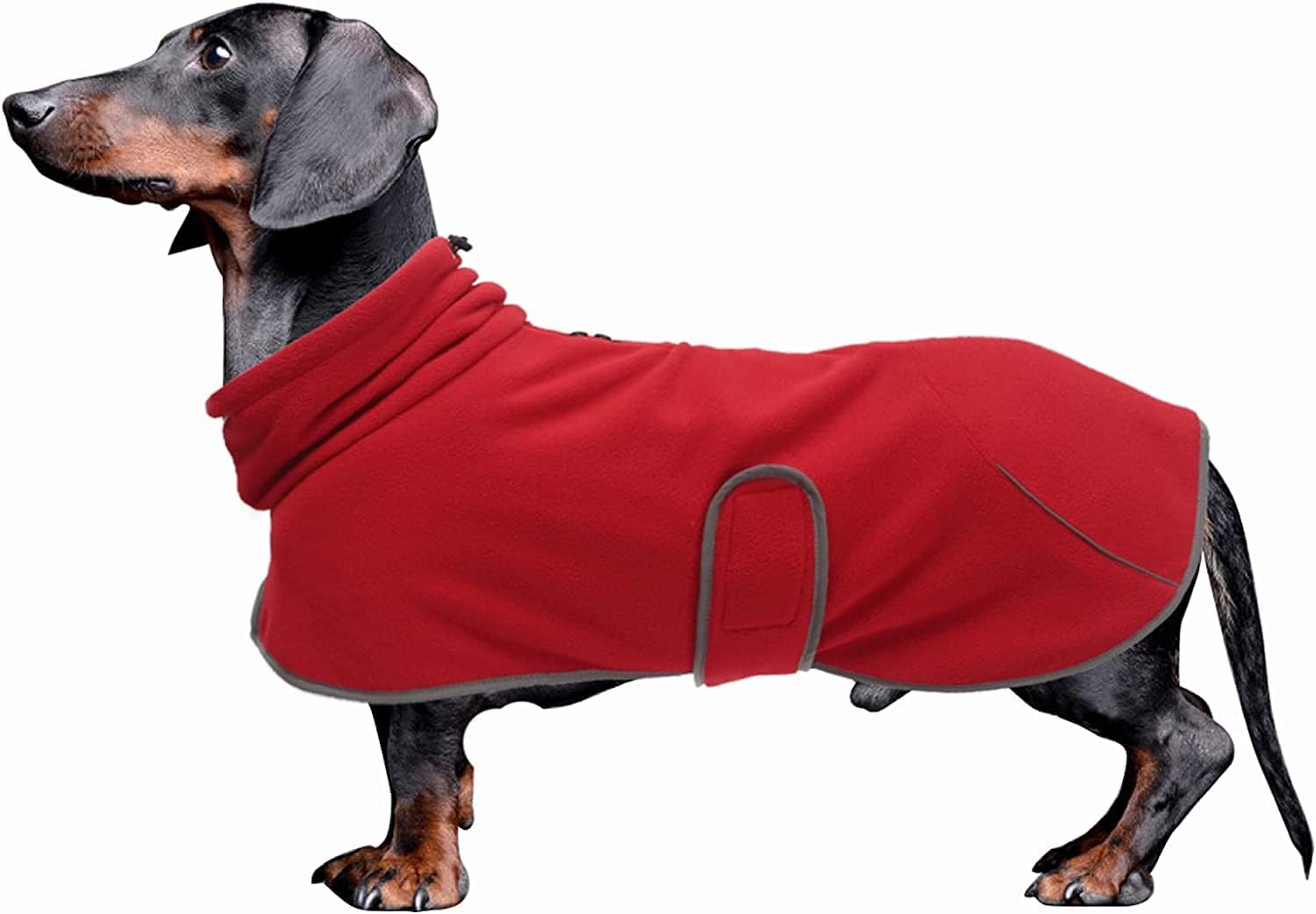 dog jackets with legs