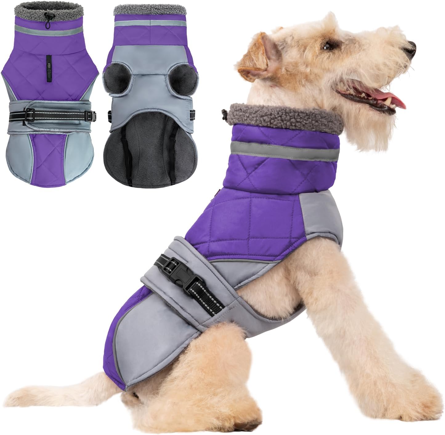 dog jackets with legs