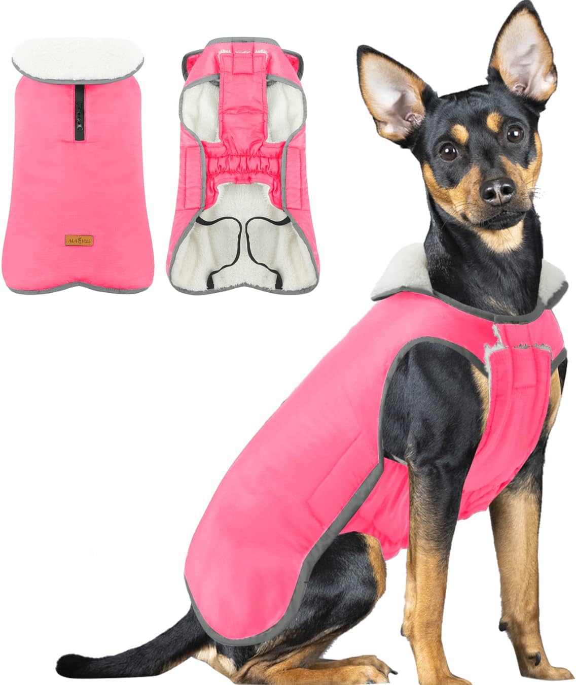 dog jackets with legs