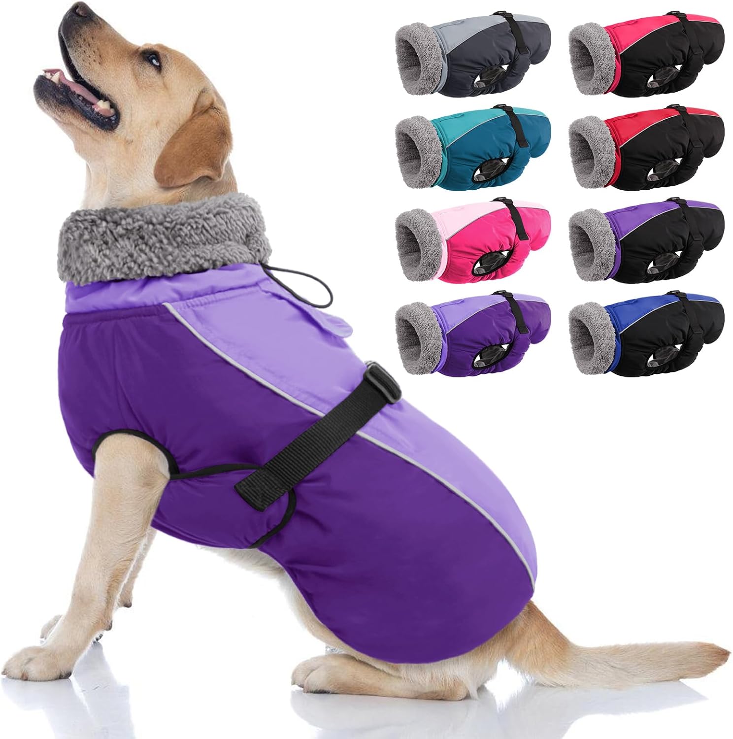 dog jackets with legs