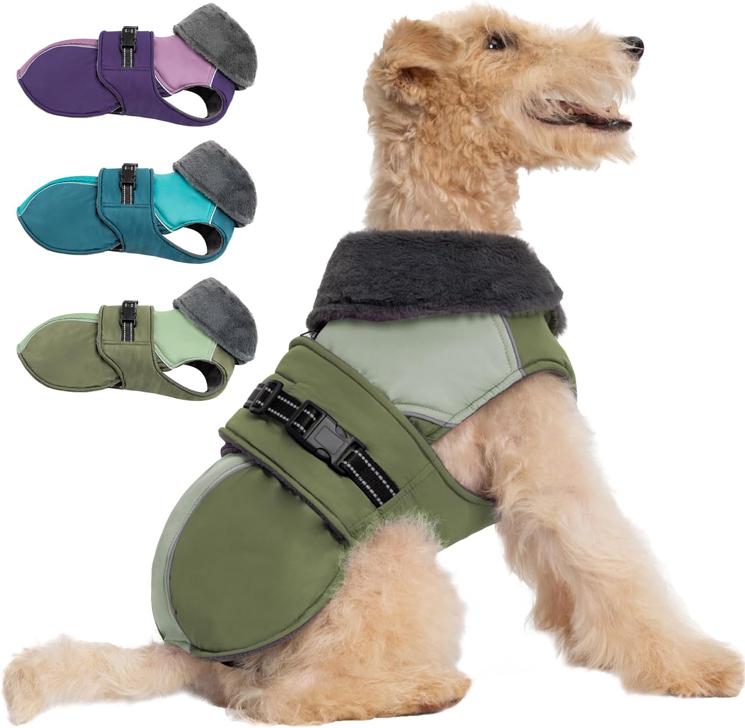 dog jackets with legs