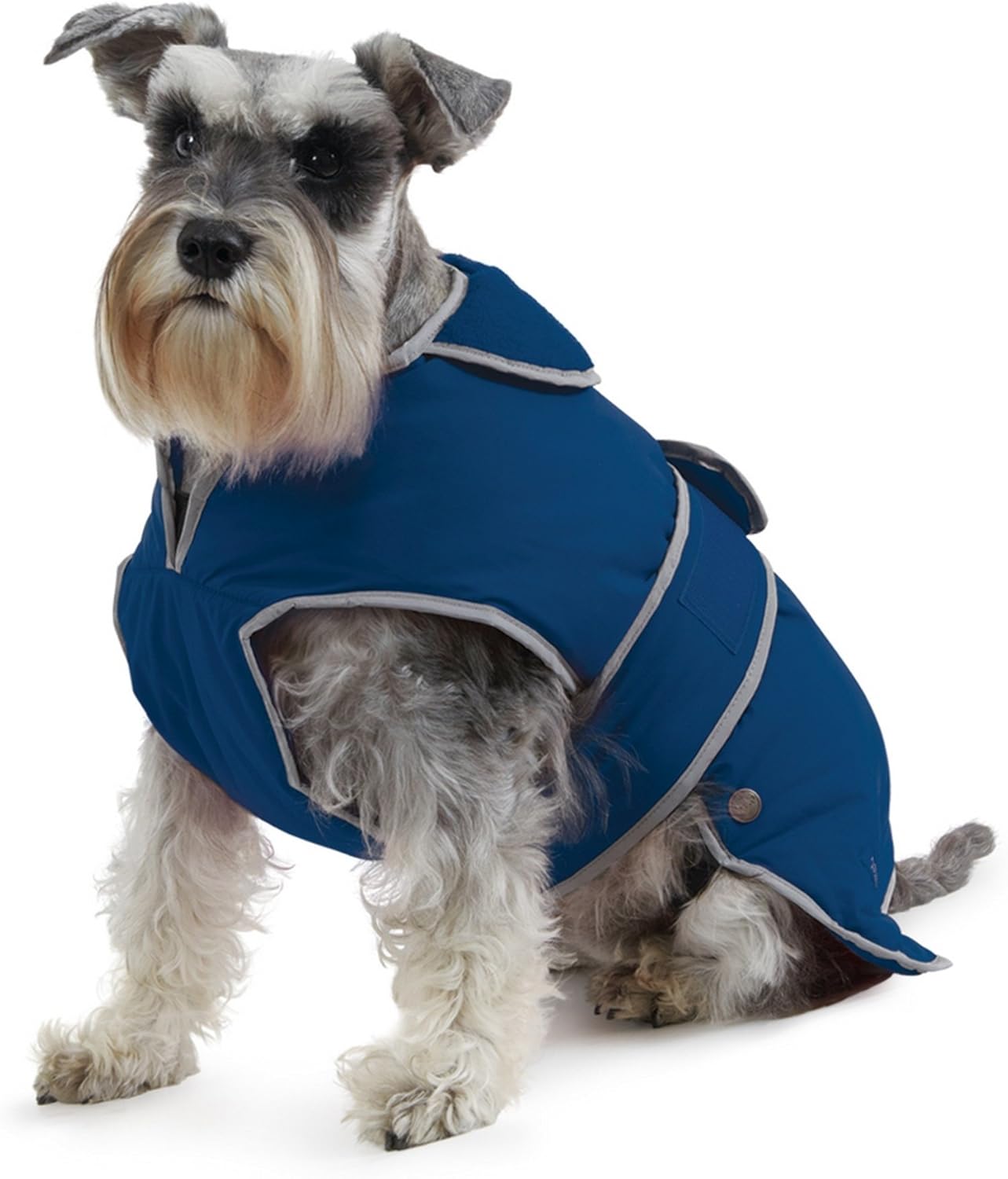 dog jackets with legs