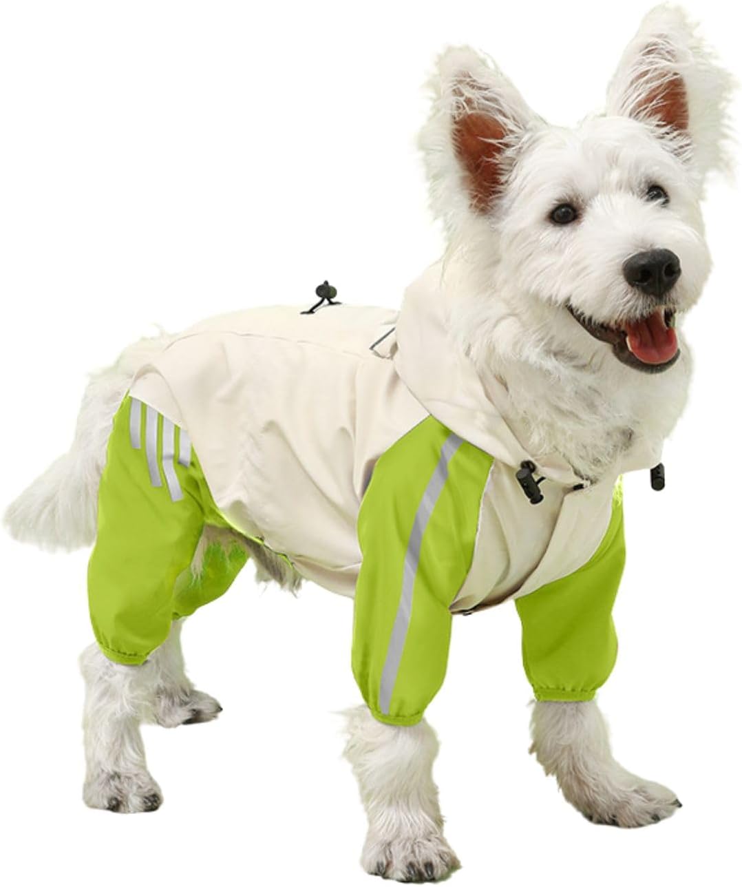 dog jackets with legs