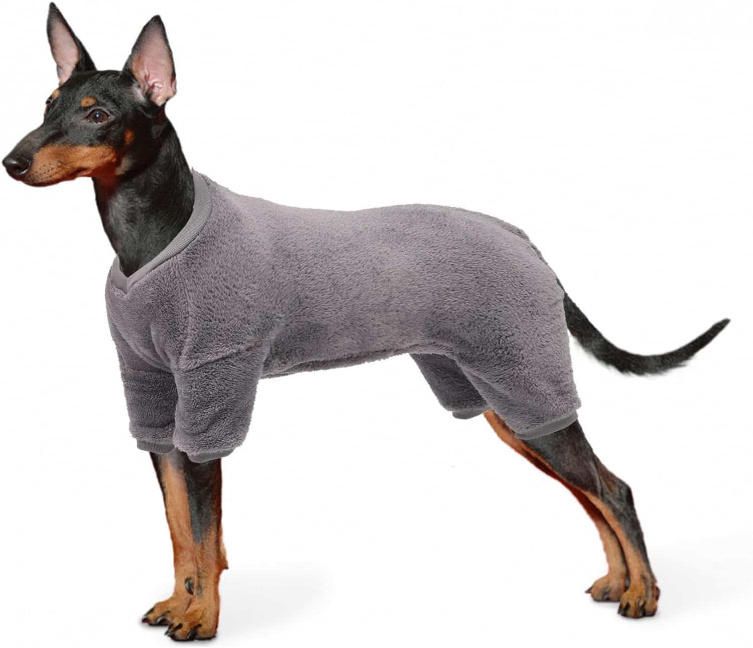 dog jackets with legs