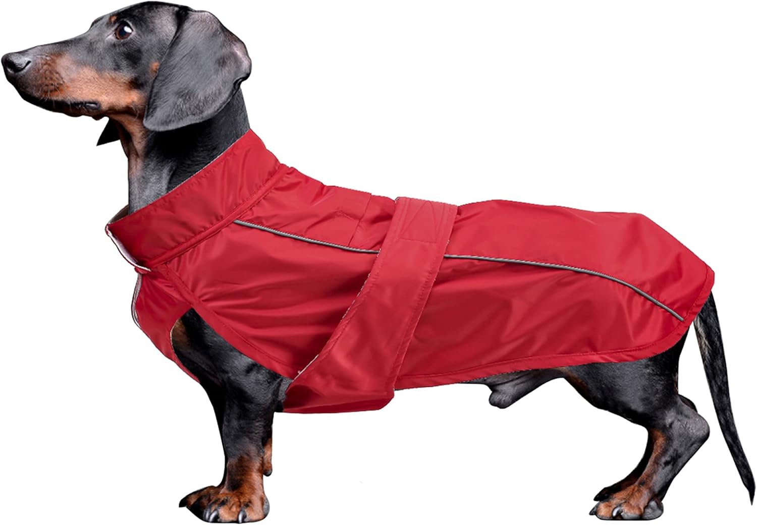 dog jackets with legs