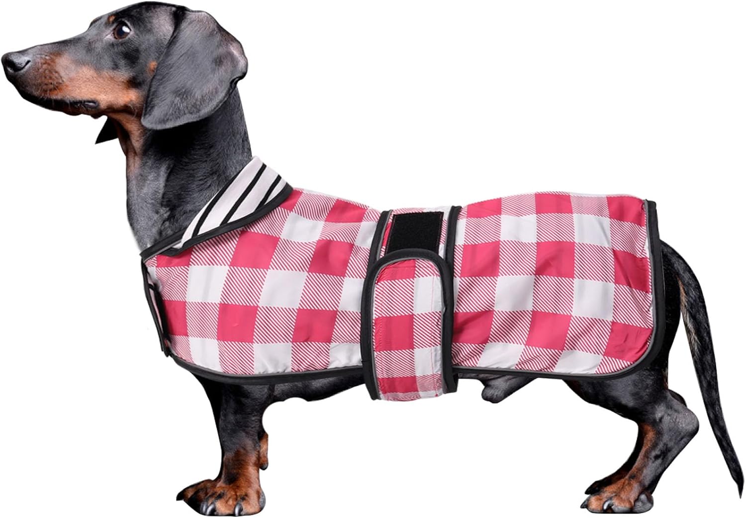 dog jackets with legs