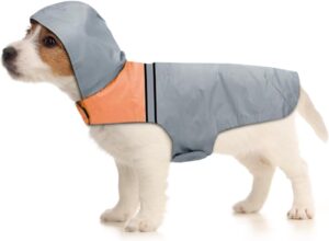 dog jackets with legs