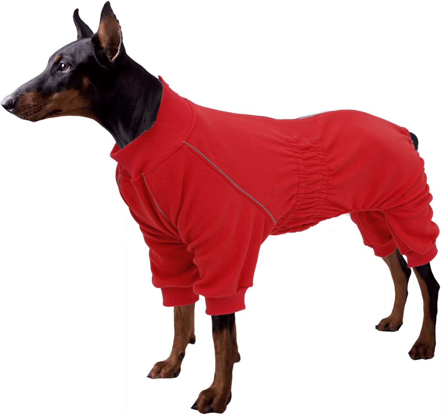 dog jackets with legs