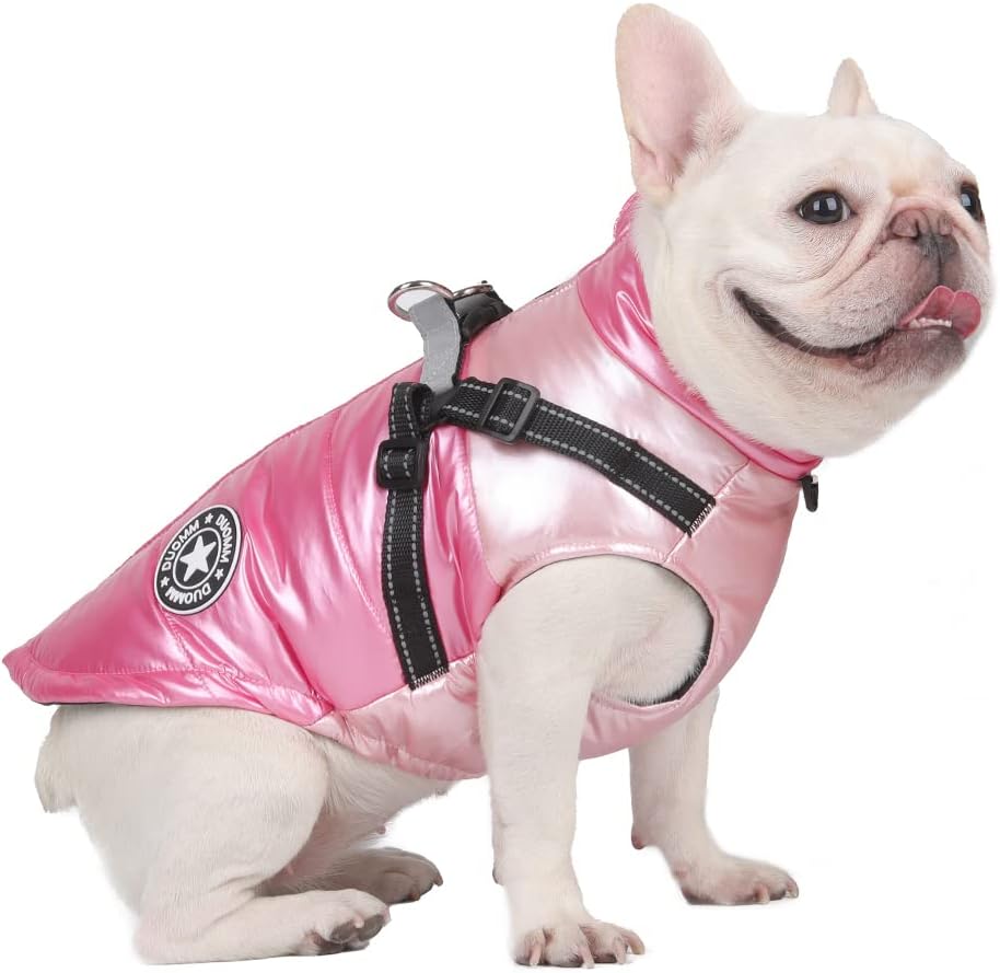 dog jackets with legs