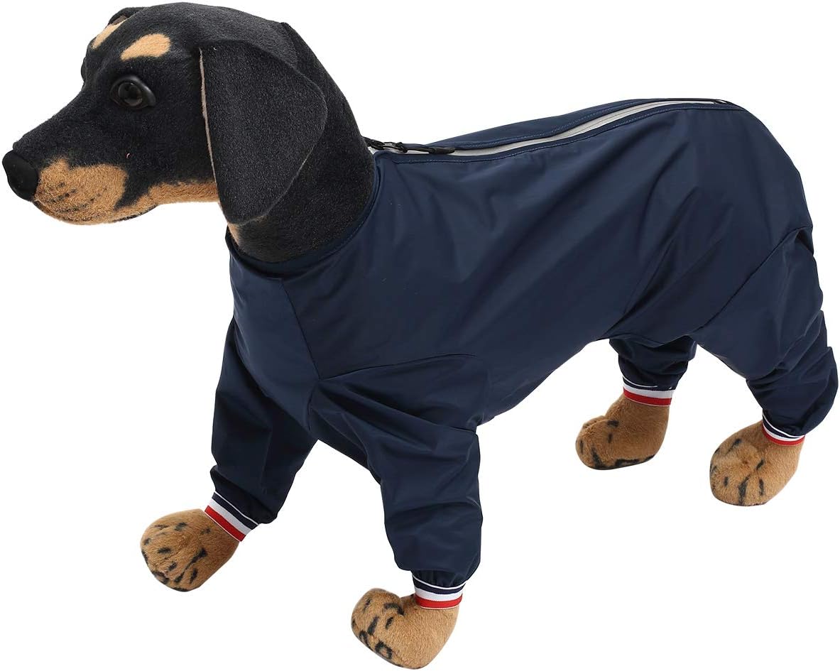 dog jackets with legs