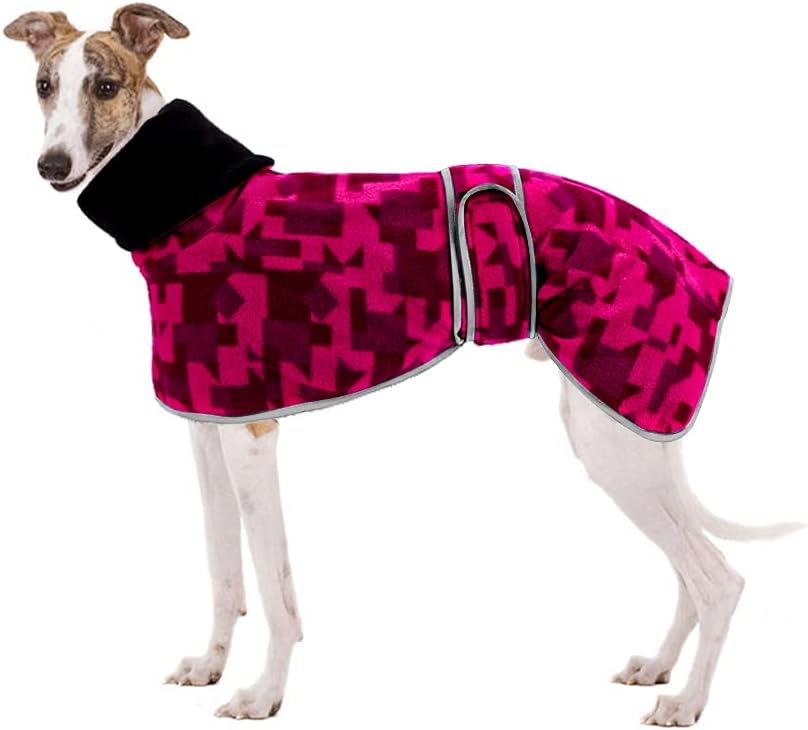 dog jackets with legs