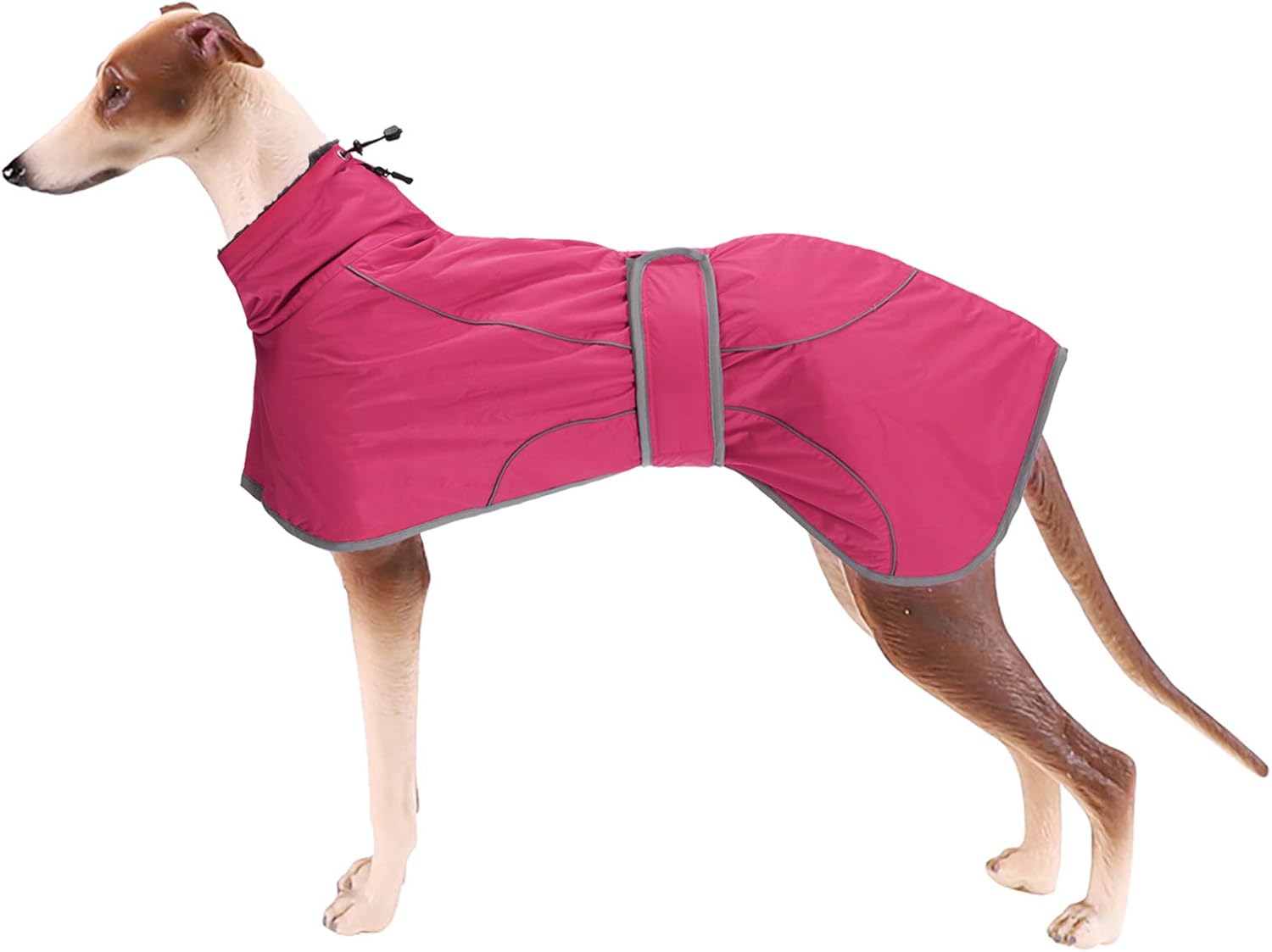 dog jackets with legs