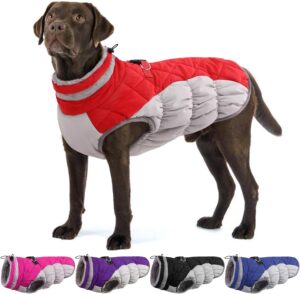 dog jackets with legs