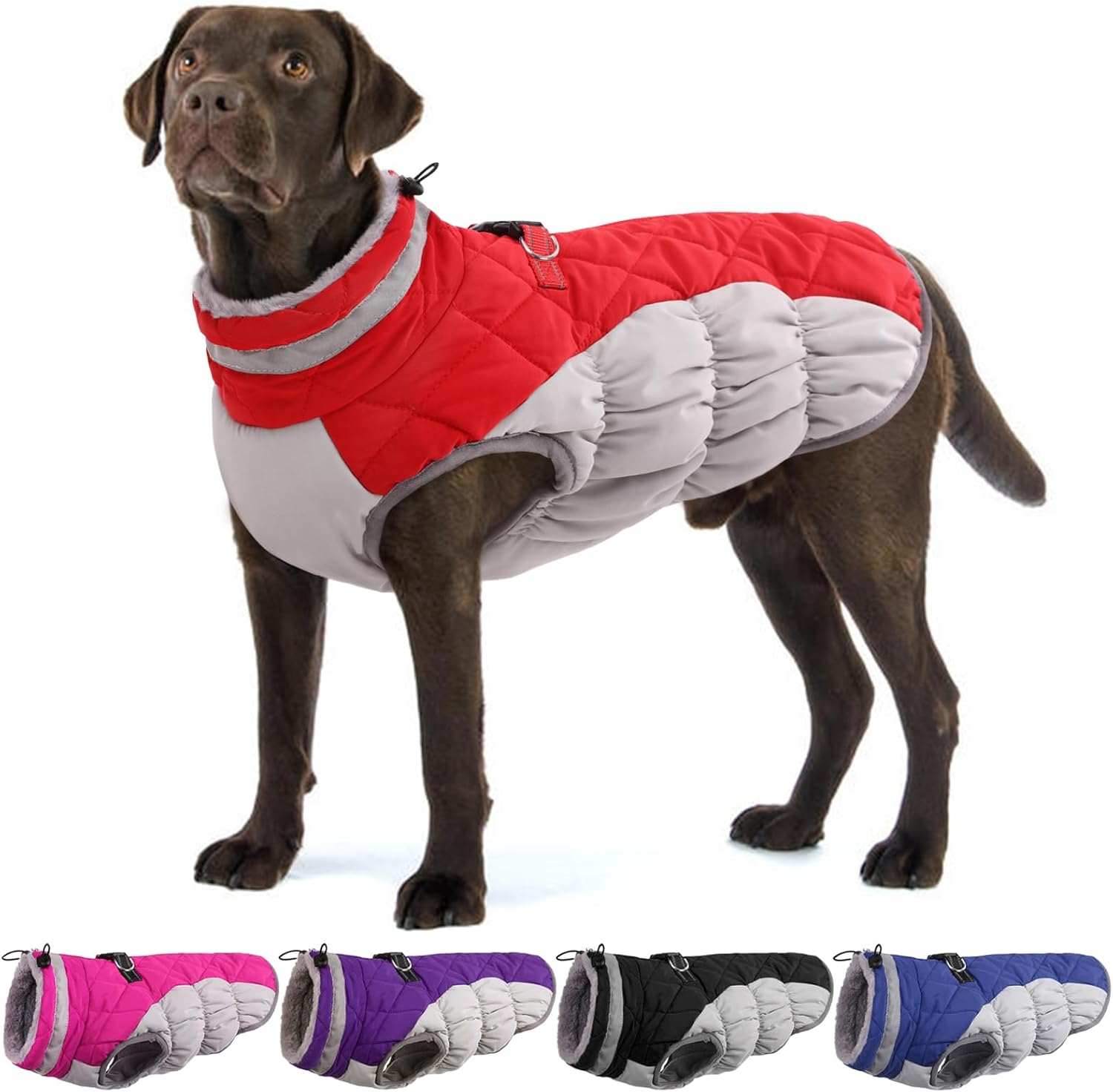 dog jackets with legs