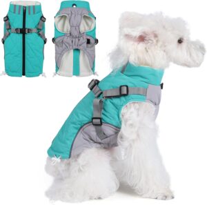 dog jackets with legs