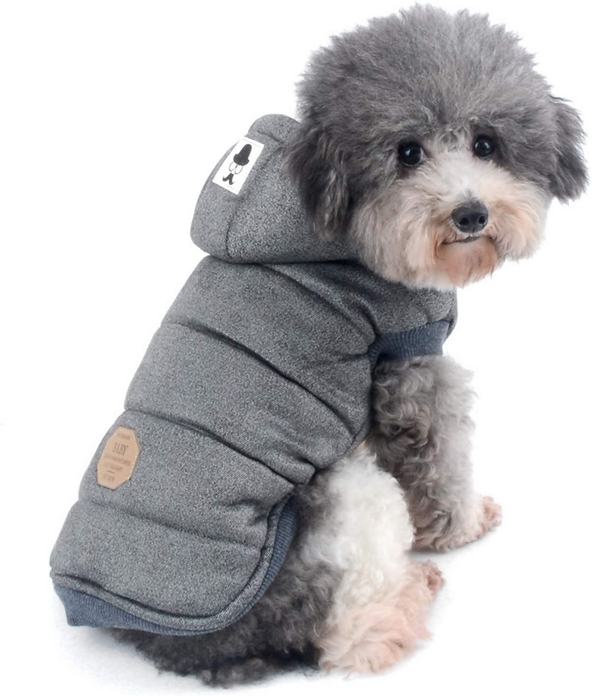 dog jackets with legs