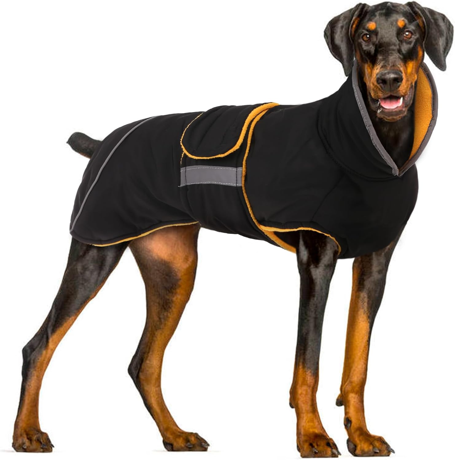 dog jackets with legs