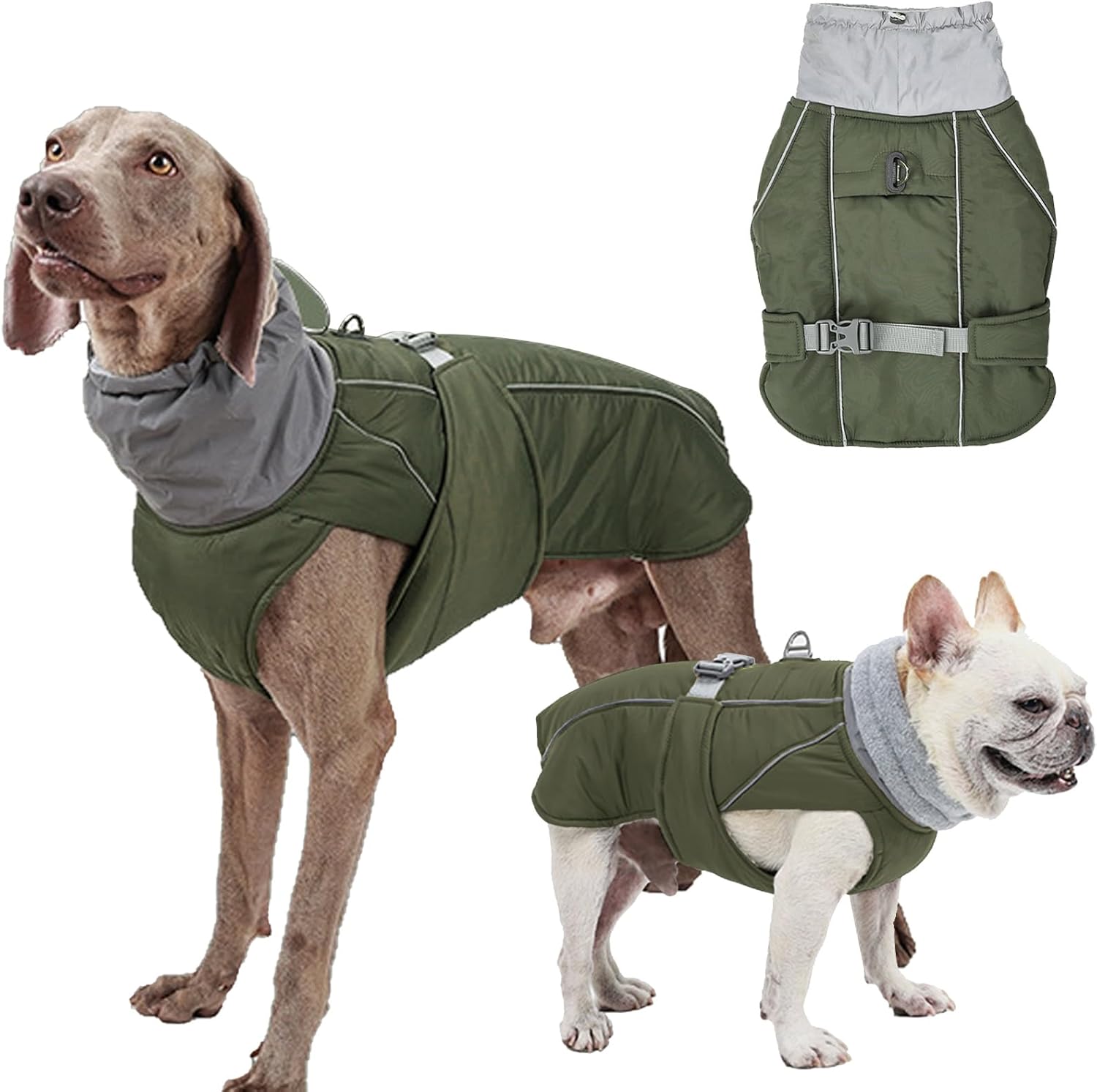 dog jackets with legs