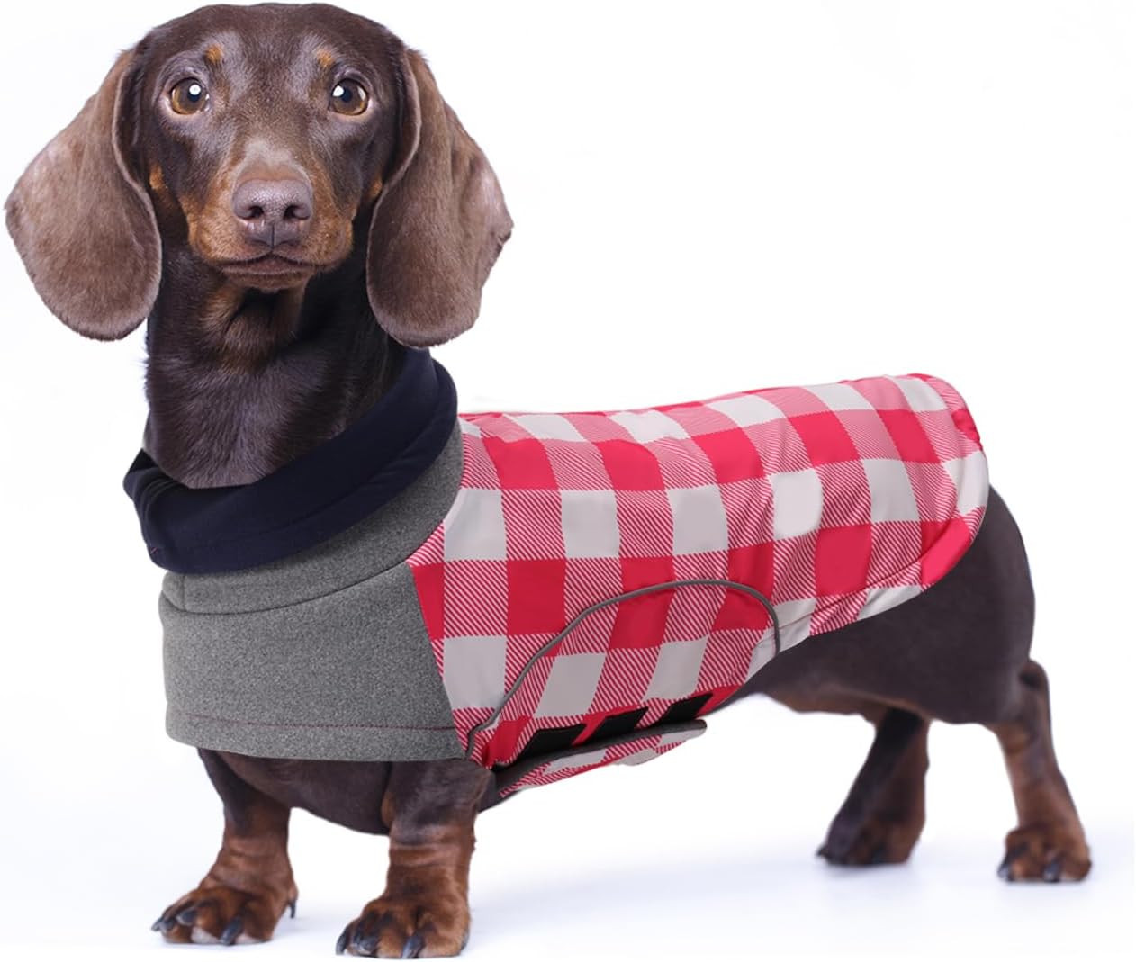 dog jackets with legs